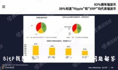 BitP钱包合法吗？全面解析